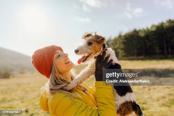 einen moment mit meinem hund teilen - terrier stock-fotos und bilder
