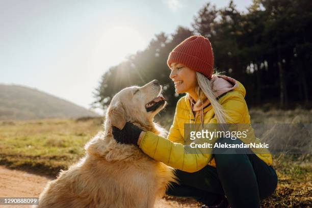 sharing a moment with my dog - autumn dog stock pictures, royalty-free photos & images