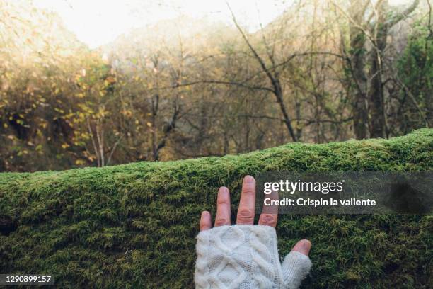 connection with nature - fingerless glove stock pictures, royalty-free photos & images