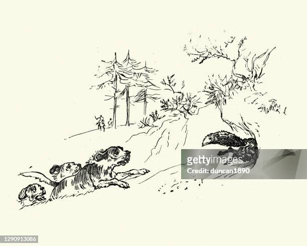 hounds chasing fox down a hole, fox hunting - foxhound stock illustrations