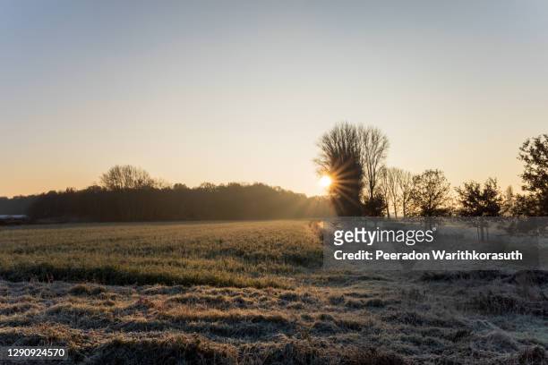 moody tone, morning and silhouette view of meadow and agricultural field covers with frost , and orange sunrise flare in countryside in düsseldorf, meerbusch germany in winter season. - autumn frost stock pictures, royalty-free photos & images