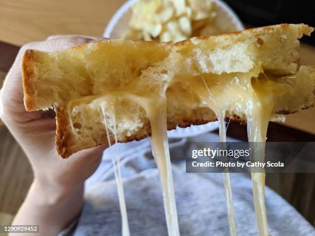 grilled cheese - tosti stockfoto's en -beelden