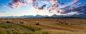 Panoramic View of Bales of Hay in a farm field.