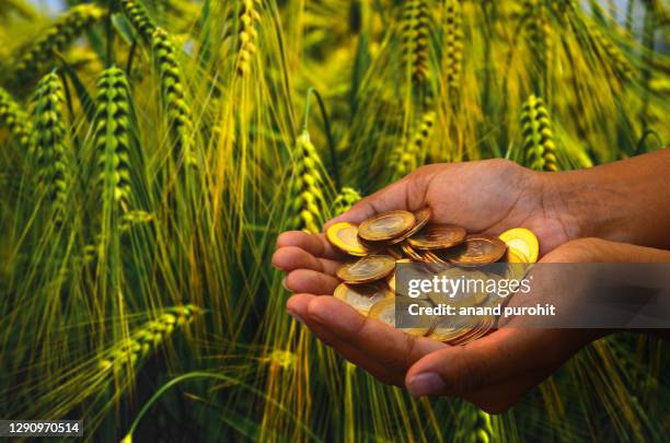 coins in farmer's hand - background of agricultural farm - farmers insurance stock pictures, royalty-free photos & images