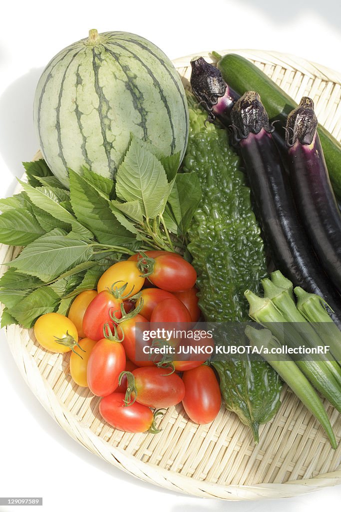 Variation of Fresh Vegetables