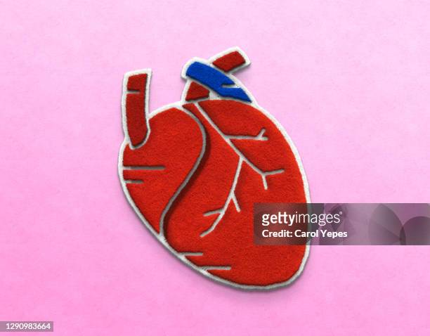 anatomical heart made of felt textile in pink background - human heart stock-fotos und bilder
