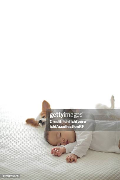 dog and baby girl sleeping - baby hund innenaufnahme stock-fotos und bilder