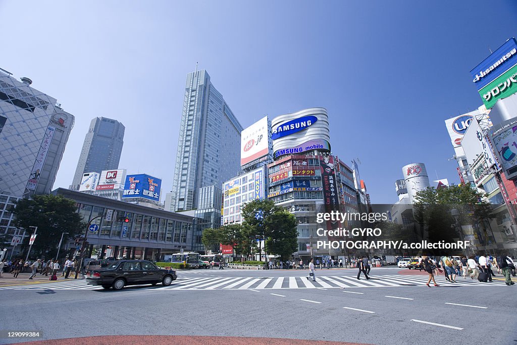 Pedestrian Crossing at Shibuya Station