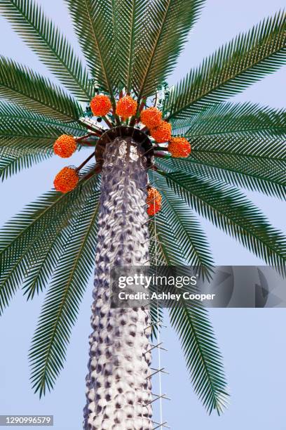 a mobile phone mast made to look like a palm tree in dubai - dubai palm stock pictures, royalty-free photos & images