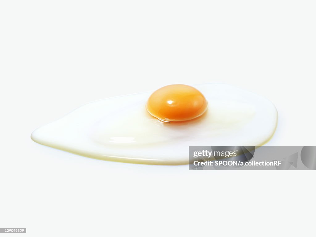 Fried egg