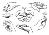 Hands with plant sprout. Farmer hand holding soil and planting seeds. Save nature, grow new trees. Agriculture and ecology sketch vector set