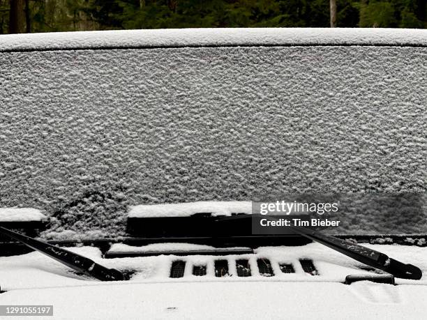 snow covering a windshield - can't see the wood for the trees stock pictures, royalty-free photos & images