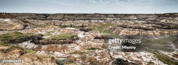 badlands horseshoe canyon formation panorama alberta canada - drumheller stock pictures, royalty-free photos & images