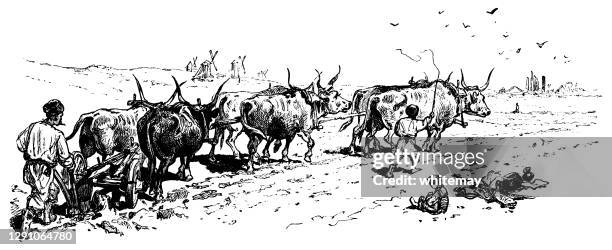 ploughing with oxen in siberia - ox cart stock illustrations