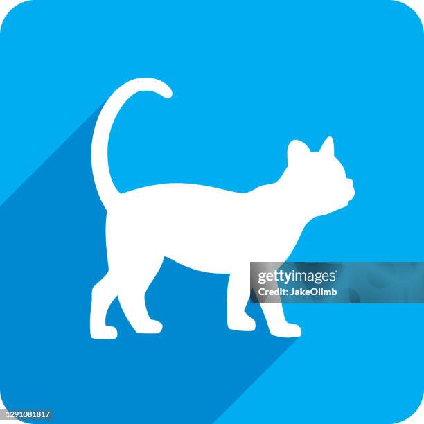 cat icon silhouette - cat walking stock illustrations