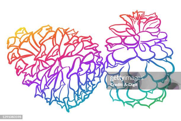 pine cones christmas rainbow - resin stock illustrations