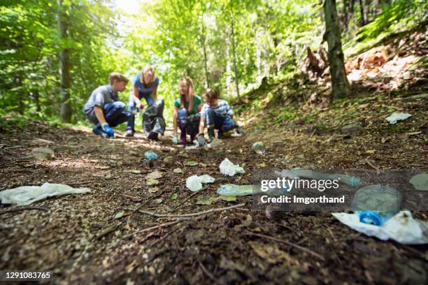 familienreinigung müll im wald - pick rubbish stock-fotos und bilder