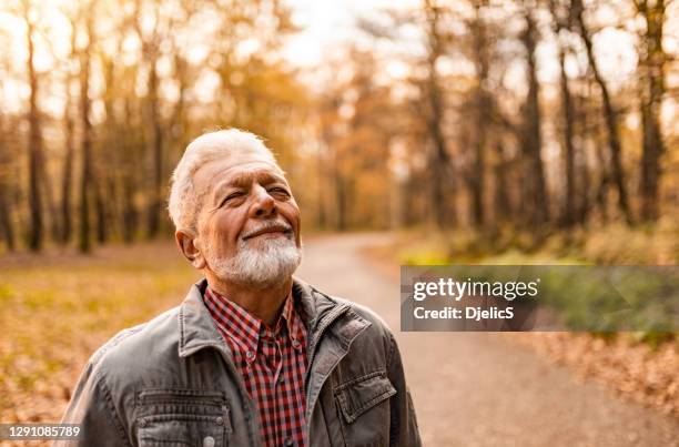 retrato del hombre mayor disfrutando de un día de otoño en el bosque. - breathing exercise fotografías e imágenes de stock