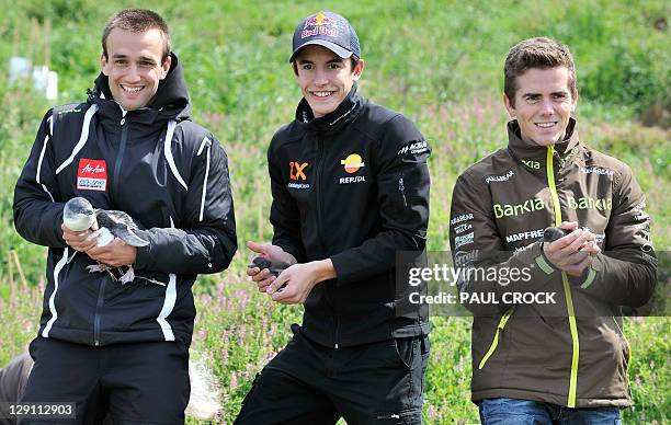 125cc Derbi rider Johann Zarco of France Aprilia rider Nicolas Terol of Spain and Moto2 rider Marc Marquez of Spain hold penguins at the penguin...