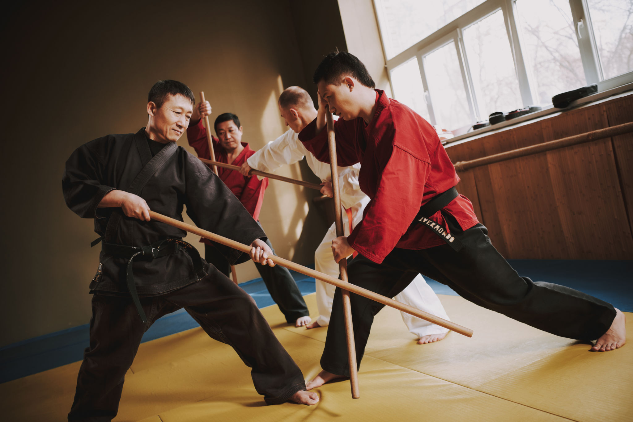 Martial arts fighters in different colors keikogi fighting with sticks. Martial arts fighters in different colors keikogi fighting with sticks.