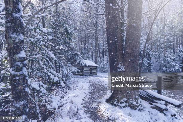 rustic cabin in the woods after a  winter snowfall - southern christmas 個照片及圖片檔