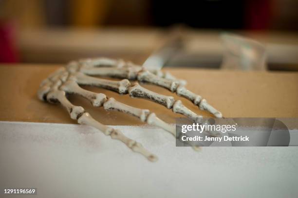 skeleton hand - skelett hand stock-fotos und bilder
