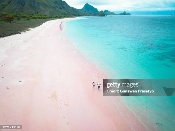 aerial view pink beach, komodo national park, flores, indonesia - komodo fotografías e imágenes de stock