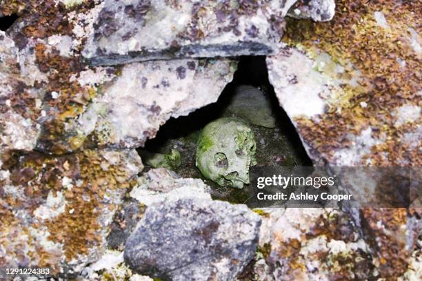 a human inuit skull in a stone chambered cairn in ilulissat in greenland. these ancient graves are pre christian and are at least 2000 years old. - human skeleton ground stock pictures, royalty-free photos & images