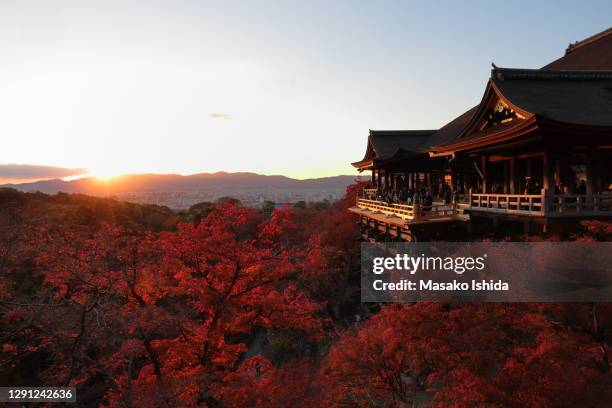 majestic sunset view of kiyomizu-dera temple in autumn - kiyomizu dera temple foto e immagini stock