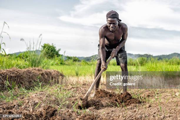 african farmer digging over the soil with pick on field - malawi stock pictures, royalty-free photos & images