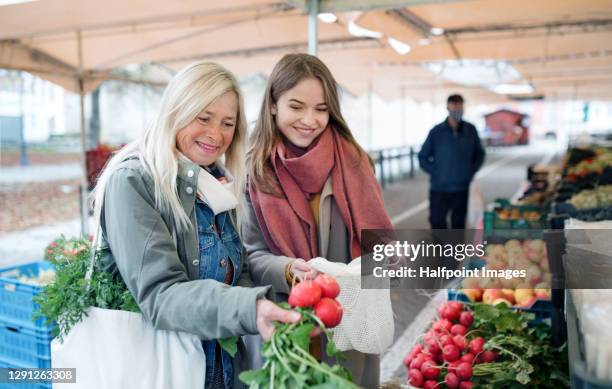 senior and young woman buying vegetables on outdoor martket, talking. - winter vegetables foto e immagini stock