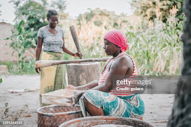 två afrikanska kvinna fräsning och siktning kassava mjöl i byn - cassava bildbanksfoton och bilder