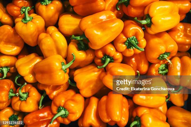 delicious orange bell peppers. the winter farm market is full of organic vegetables. can be used as a background. orange pepper background for design. the group peppers - orange bell pepper fotografías e imágenes de stock