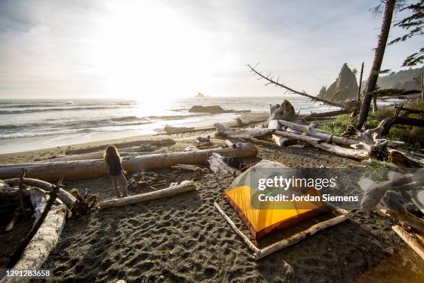 a woman backpacking and camping along washintons remote coast. - rialto beach stock pictures, royalty-free photos & images