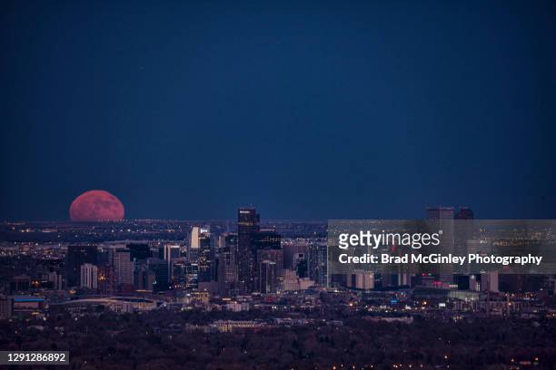 denver cityscape full moon rise - moon horizon stock-fotos und bilder