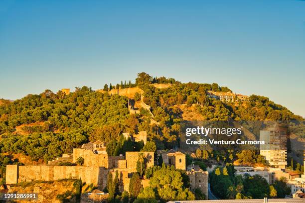hill gibralfaro with the castle on top - málaga, spain - alcazaba of málaga stock pictures, royalty-free photos & images
