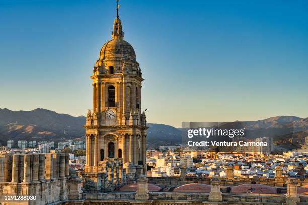 lateral view of málaga cathedral, spain - malaga photos et images de collection