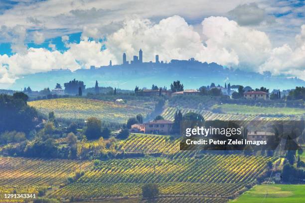 italian countryside with vineyards and olive tree plantations - san gimignano stock pictures, royalty-free photos & images
