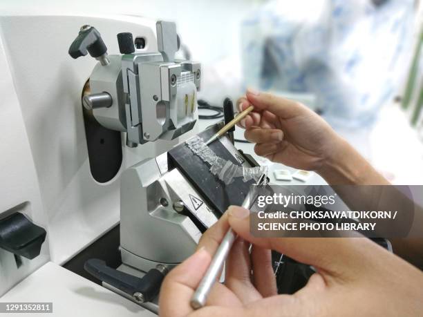 First Microtome Microtomes Photos et images de collection - Getty Images
