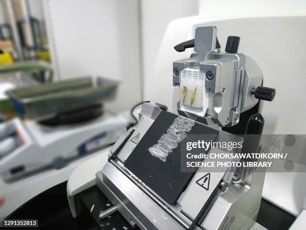Microtone Polytech Microtomes Photos et images de collection - Getty Images