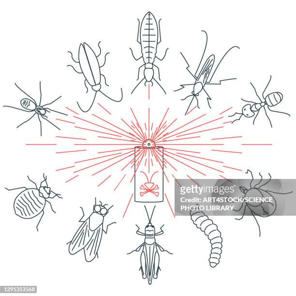 common pests, conceptual illustration - fles stock illustrations