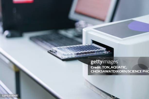 Assay Testing Plate Cell Assay Photos and Premium High Res Pictures - Getty Images