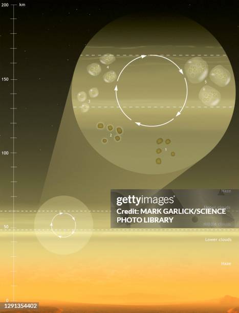 microbial life cycle on venus - venus atmosphere stock pictures, royalty-free photos & images