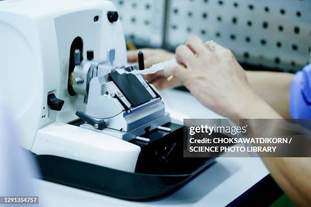 cutting tissue section with rotary microtome - micro tome fotografías e imágenes de stock