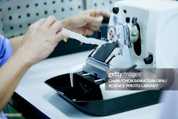 Microtomen 41 Microtome Stock Photos, High-Res Pictures, and Images - Getty Images