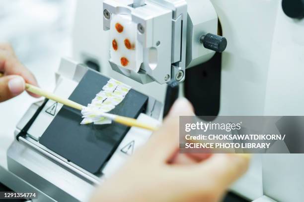 cutting tissue section with rotary microtome - biopsy - fotografias e filmes do acervo