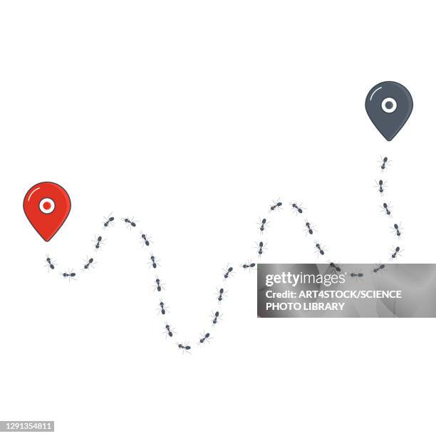 travelling ants, conceptual illustration - ants marching stock illustrations