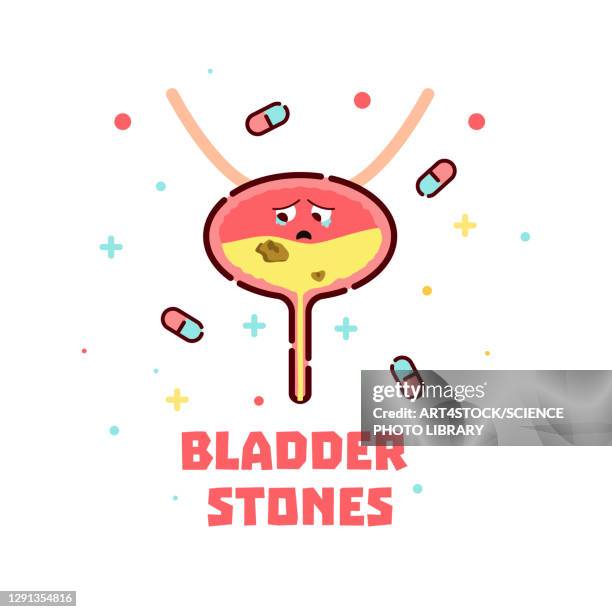 Cartoon Bladder Problem 186 Pee Cartoon Stock Photos, High-Res Pictures, and Images - Getty Images