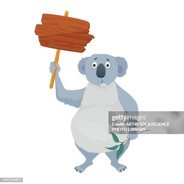 illustrations, cliparts, dessins animés et icônes de koala with placard, illustration - koala bear