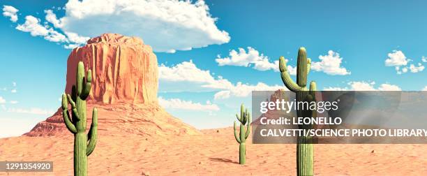 illustrations, cliparts, dessins animés et icônes de monument valley, usa, illustration - cactus